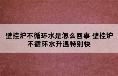 壁挂炉不循环水是怎么回事 壁挂炉不循环水升温特别快